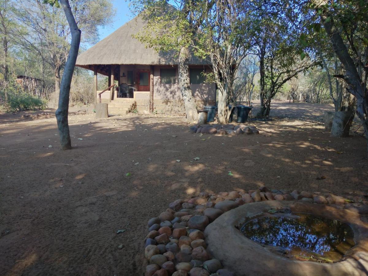 Nthakeni Bush & River Camp Pafuri Gate Esterno foto